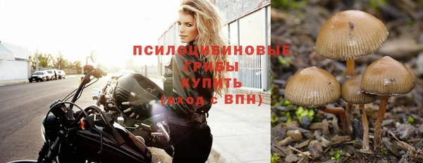 а пвп мука Алзамай