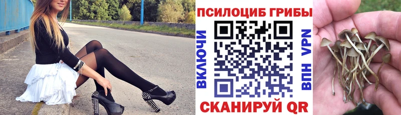 Псилоцибиновые грибы мухоморы  гидра маркетплейс  Красноуфимск 