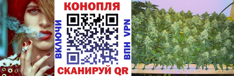 Канабис семена  Красноуфимск 
